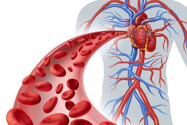 Máy đo huyết động là gì? Những thông tin cần biết về máy đo huyết động không xâm lấn 2 may do huyet dong 3 Máy đo huyết động là gì? Những thông tin cần biết về máy đo huyết động không xâm lấn