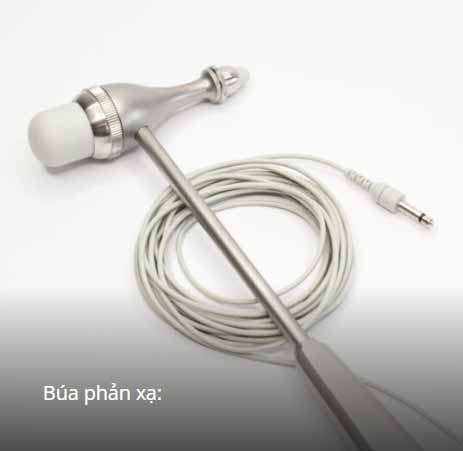 Phu kien Bua phan xa danh cho May dien co Neurowerk EMG Máy điện cơ 2 kênh & 4 kênh Neurowerk EMG